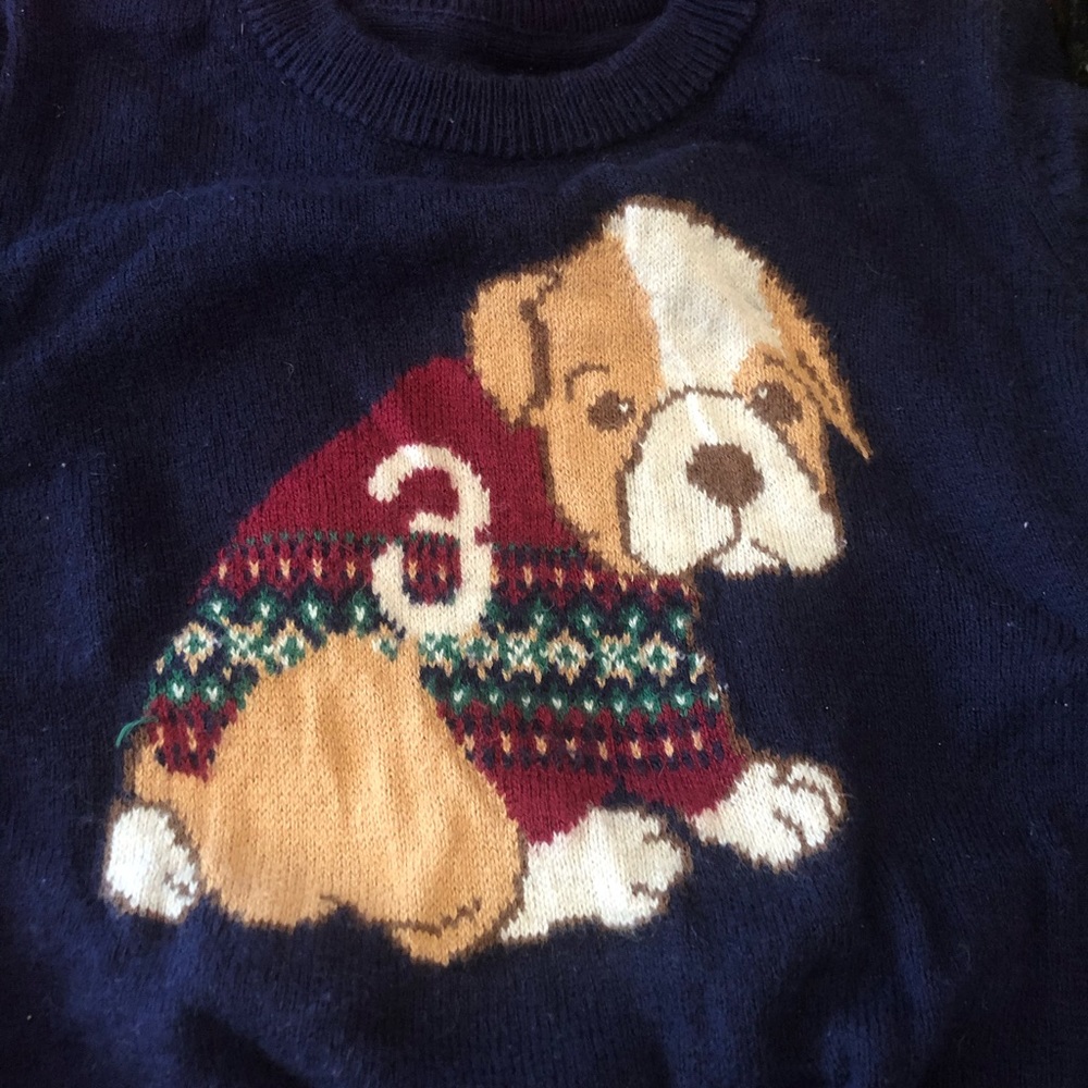 0-6 month English Bulldog sweater